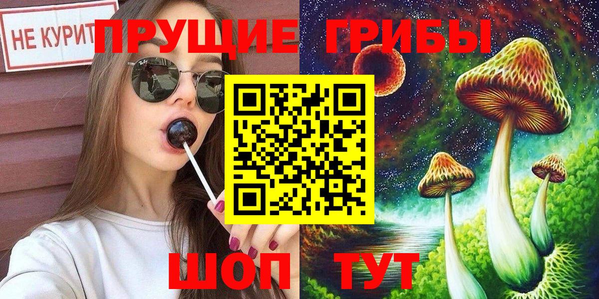 Галлюциногенные грибы Cubensis  купить закладку  Гудермес  Вход с VPN  Псилоцибиновые грибы Cubensis 